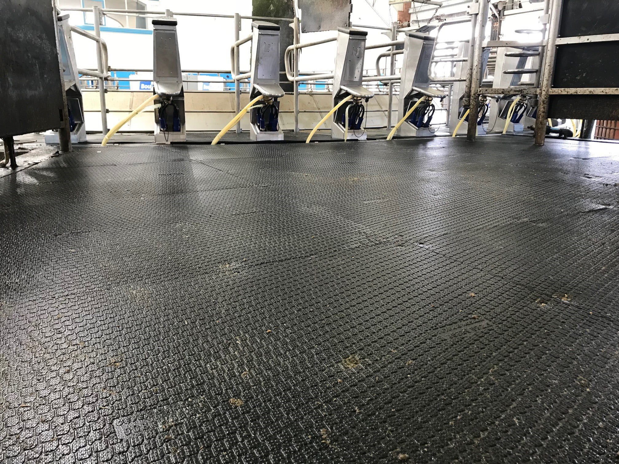 Parlour & Dairy Floors Quattro Products