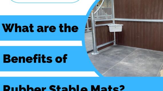 What are the benefits of rubber stable mats?