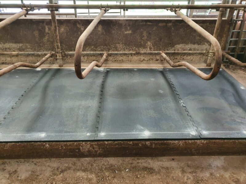 rubber cow mats