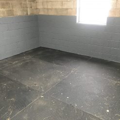 Stable Paint - Elastect