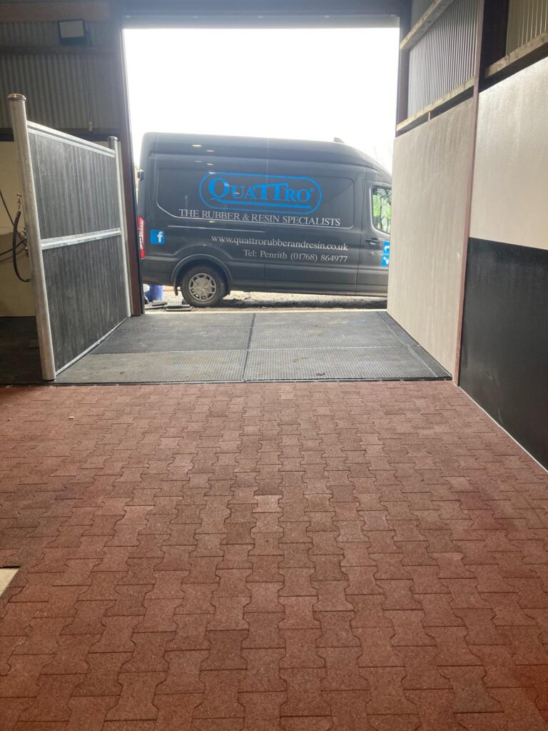 Equestrian Dog Bone Pavers - Quattro Products Limited
