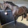 Rubber Stable Mats