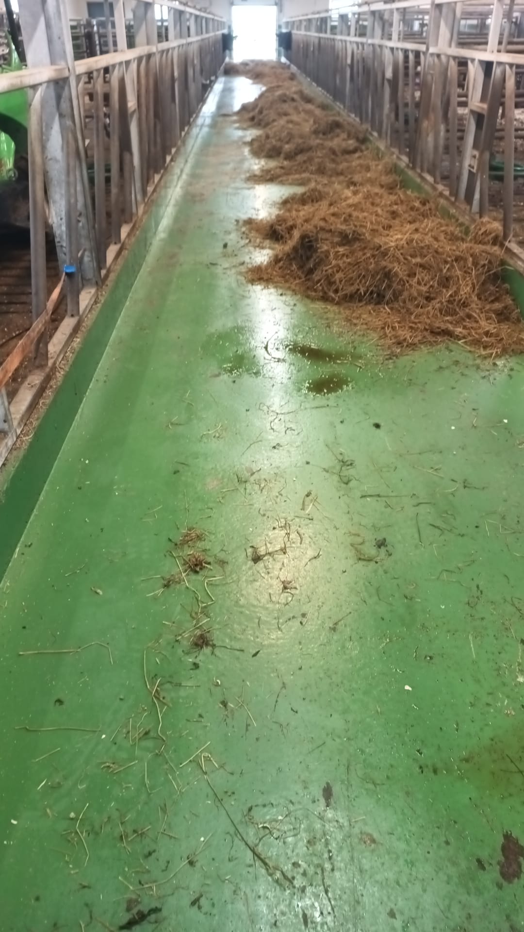 Q/Shield SF Epoxy Parlour Paint - Image 4