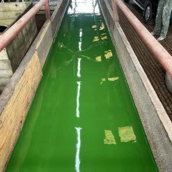 Feed Passage Resin Screed